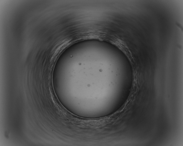 X0000101420001200807141205