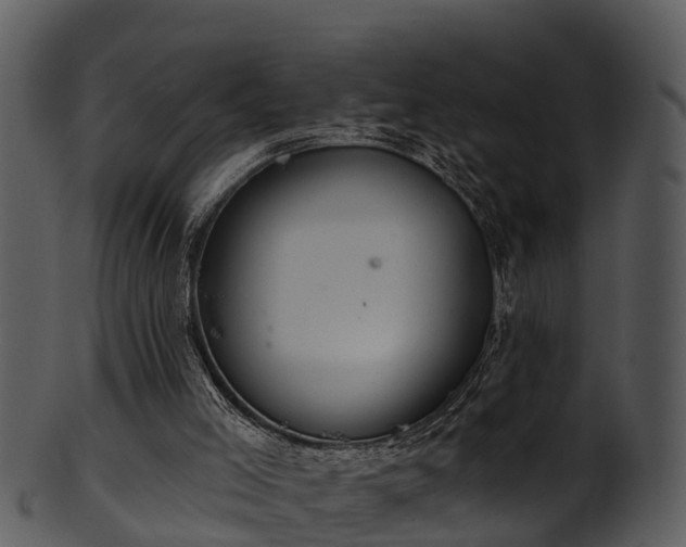 X0000101420005200807141205