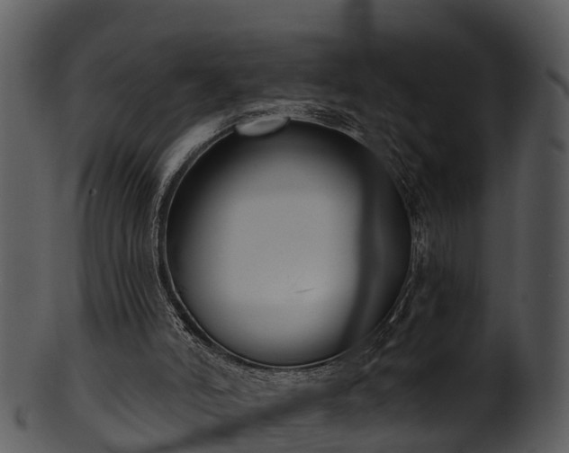 X0000101420006200807141205
