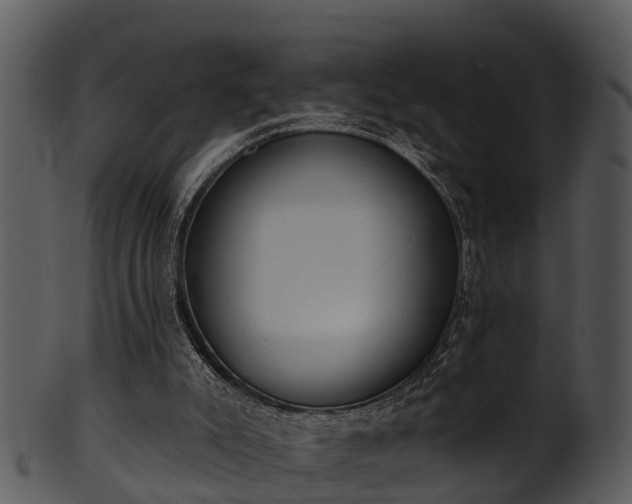 X0000101420007200807141205