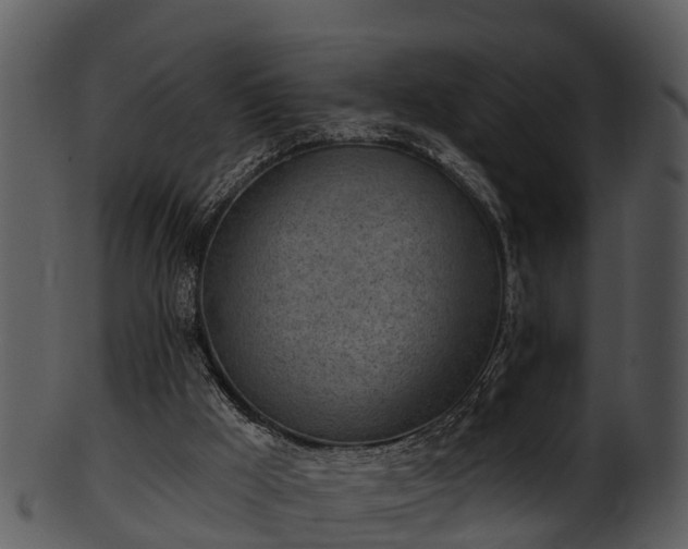 X0000101420009200807141205