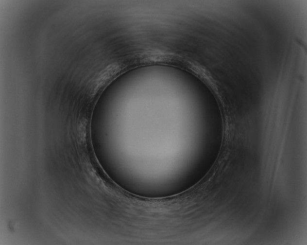 X0000101420010200807141205
