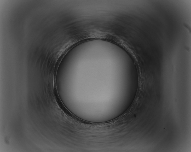 X0000101420011200807141205
