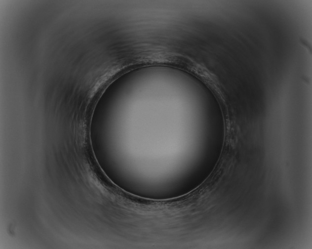 X0000101420012200807141205