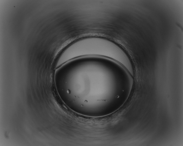 X0000101420016200807141204