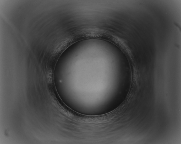 X0000101420017200807141204