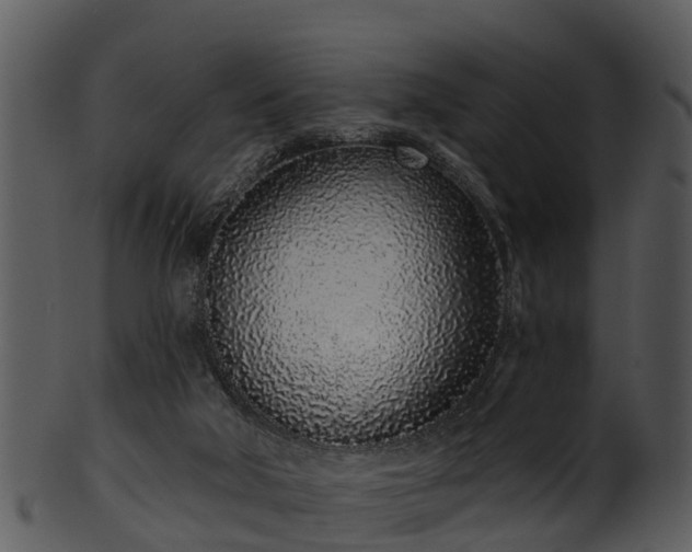 X0000101420018200807141204