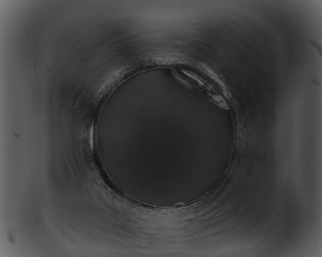 X0000101420019200807141204