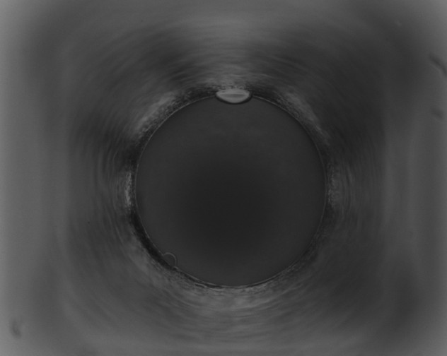 X0000101420023200807141204
