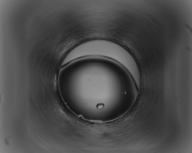 X0000101420024200807141204