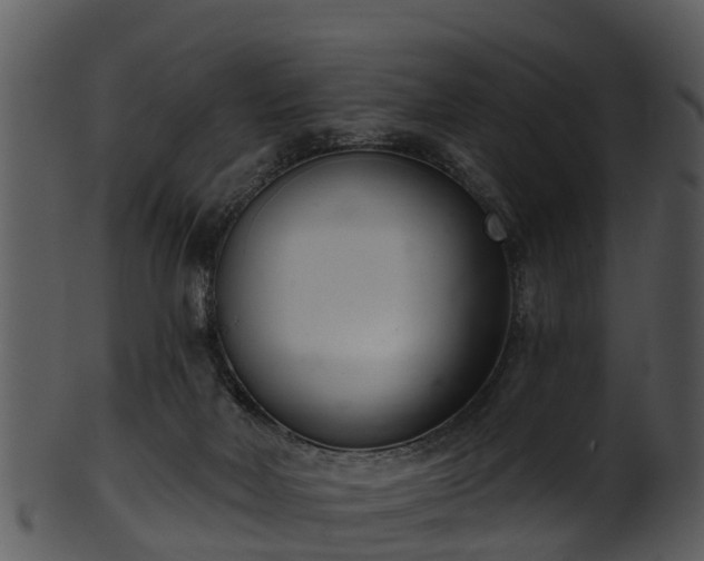 X0000101420026200807141204