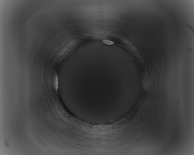 X0000101420027200807141204