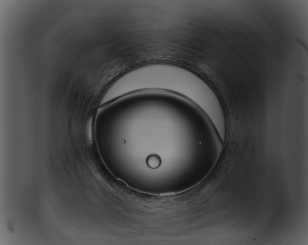 X0000101420028200807141204