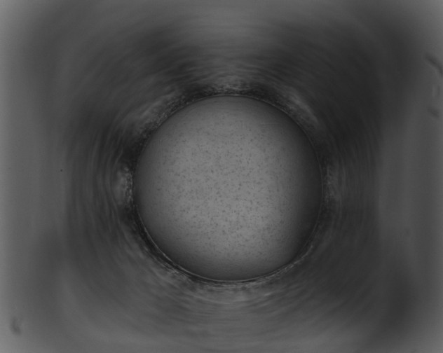 X0000101420029200807141204