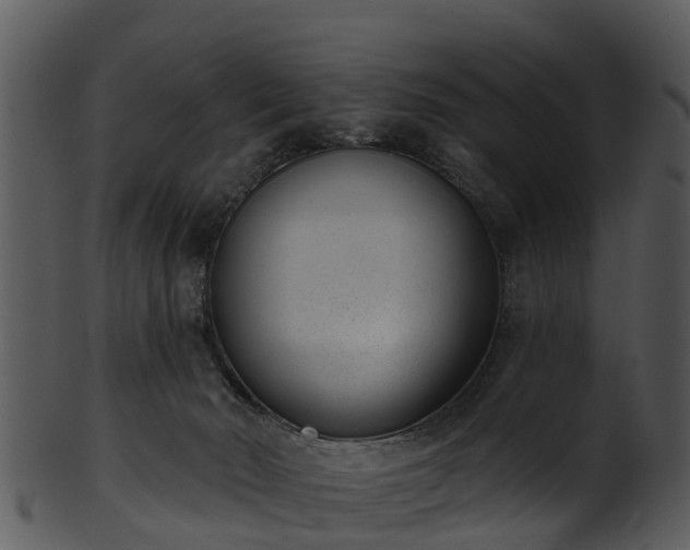 X0000101420030200807141204
