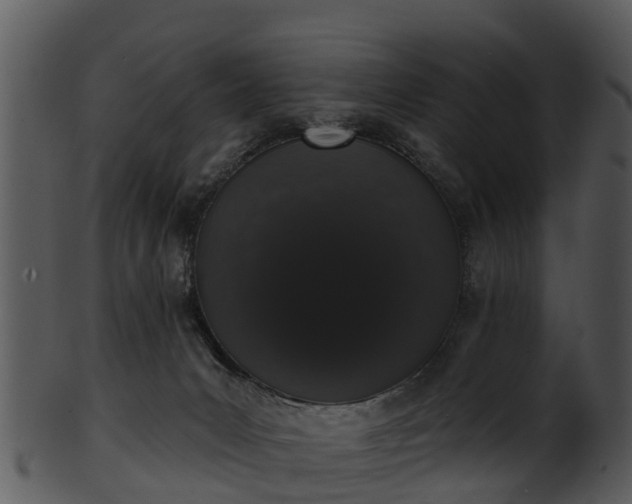 X0000101420031200807141204