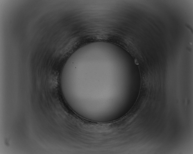 X0000101420032200807141204