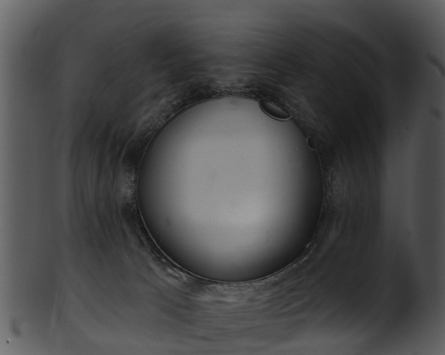 X0000101420033200807141204