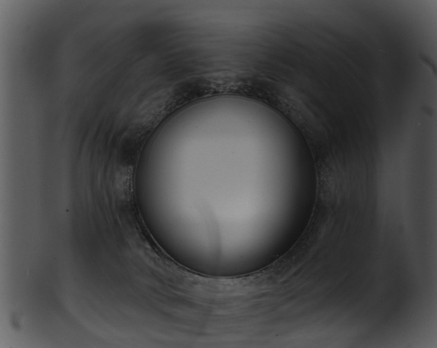 X0000101420034200807141204