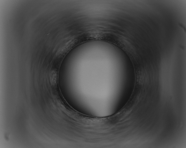 X0000101420036200807141204