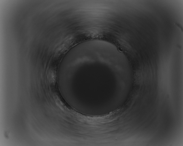 X0000101420039200807141204