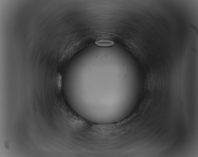 X0000101420041200807141204