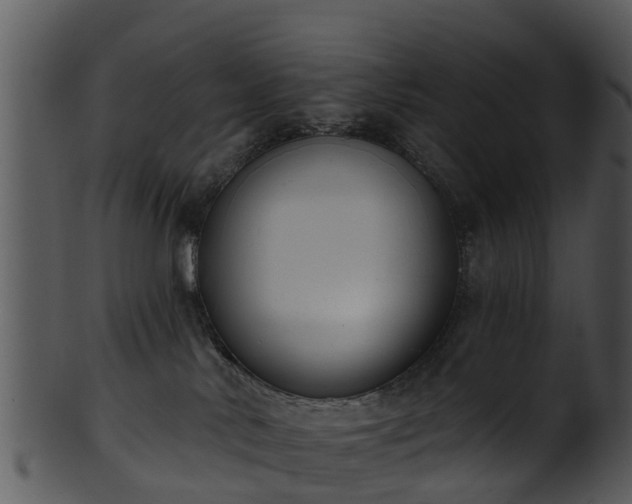 X0000101420042200807141204