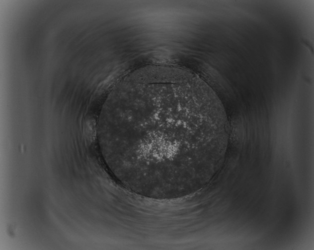 X0000101420043200807141204