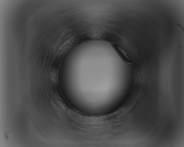 X0000101420044200807141204