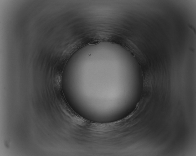 X0000101420045200807141204