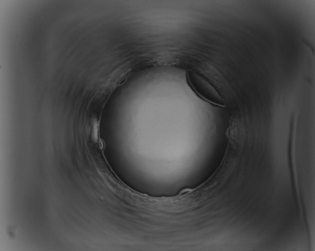 X0000101420046200807141204