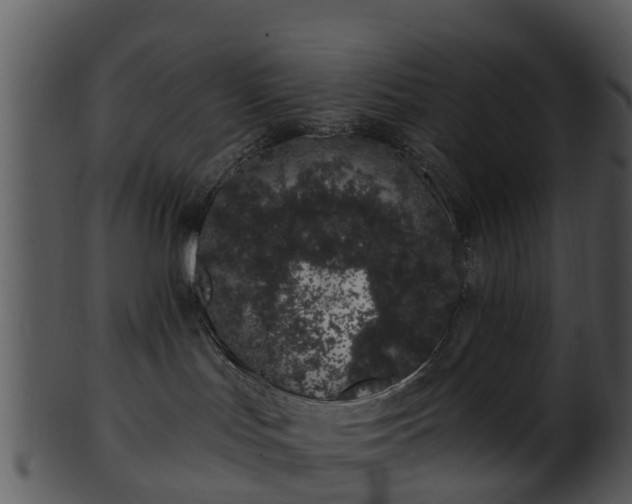 X0000101420047200807141204