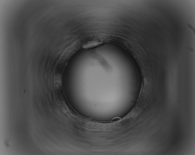 X0000101420048200807141204