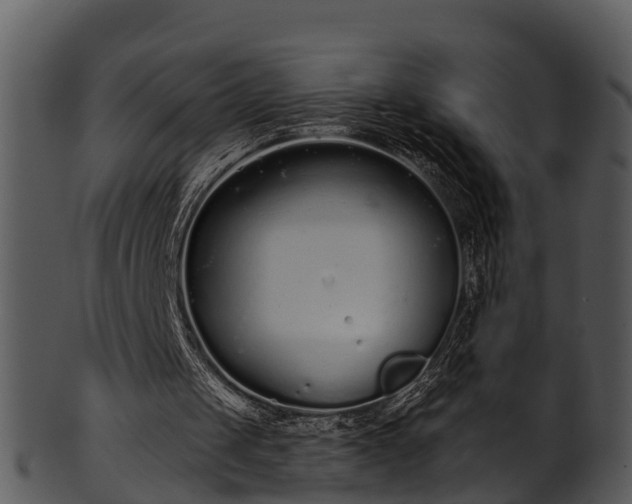 X0000101420049200807141203