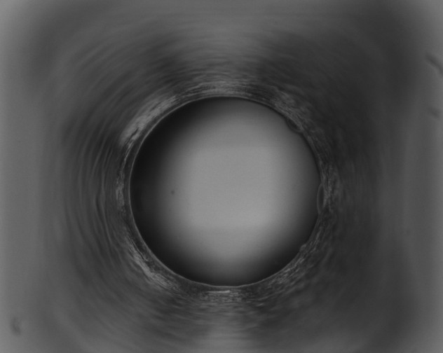 X0000101420050200807141203