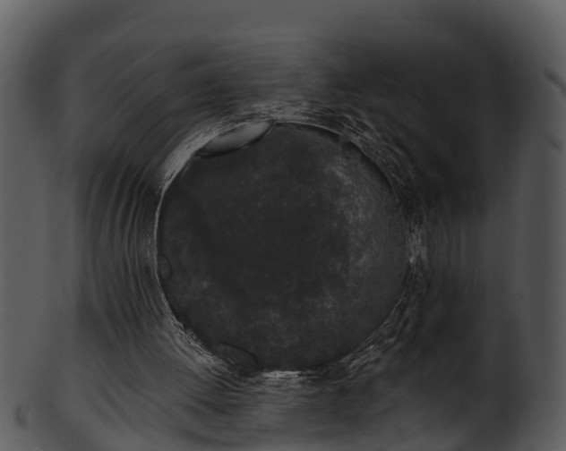 X0000101420052200807141203