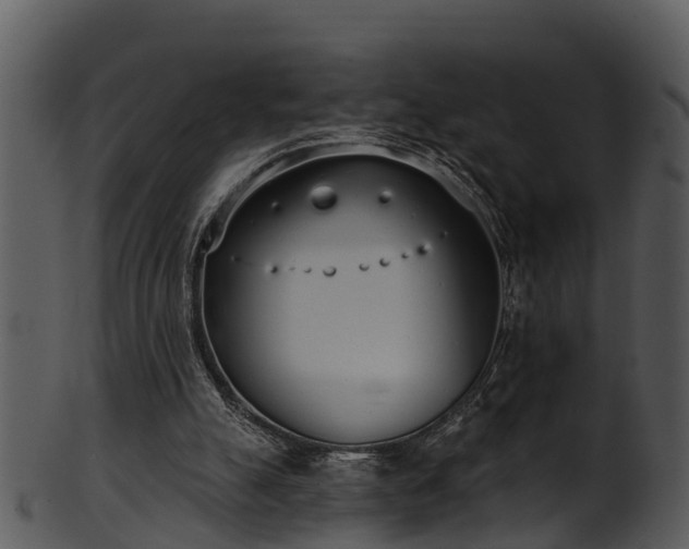 X0000101420055200807141203