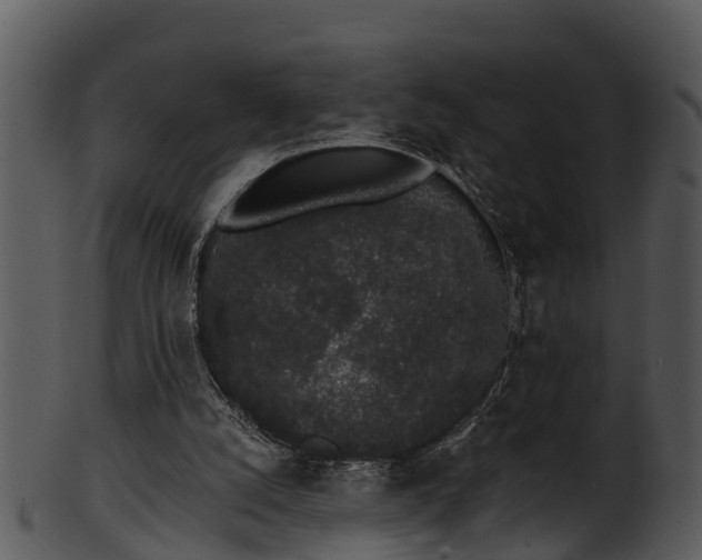 X0000101420056200807141203