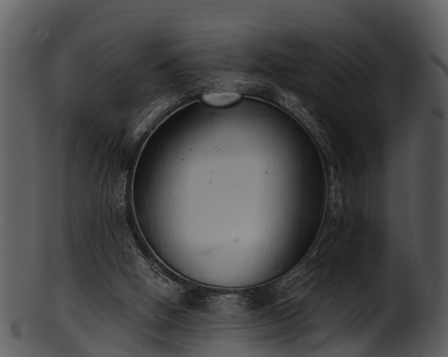 X0000101420058200807141203