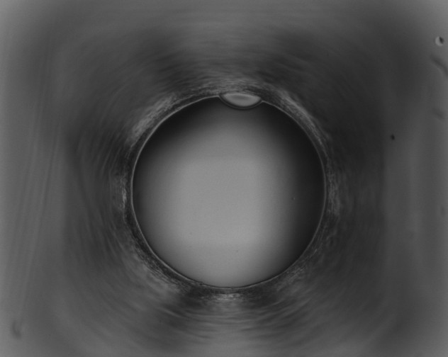 X0000101420059200807141204