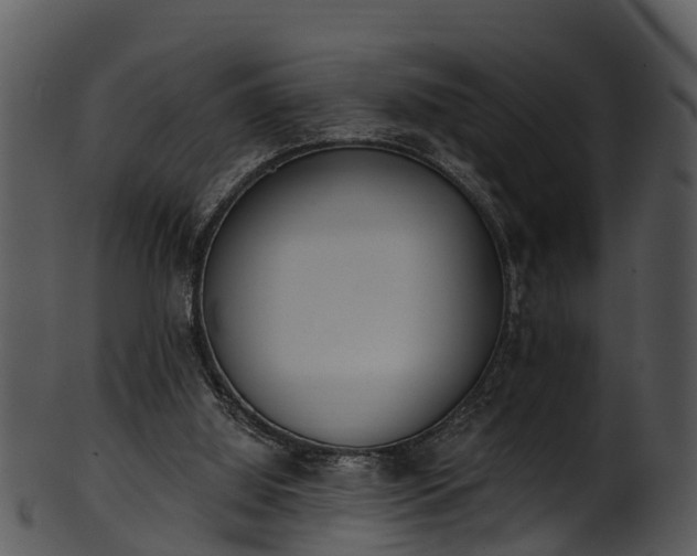 X0000101420060200807141204