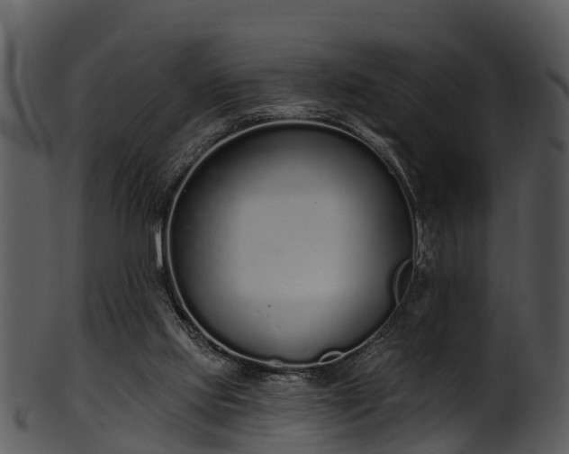 X0000101420061200807141204