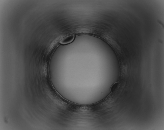 X0000101420064200807141204