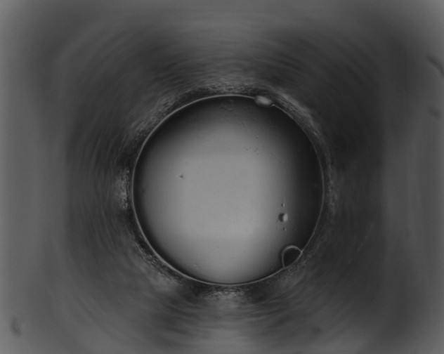 X0000101420065200807141204