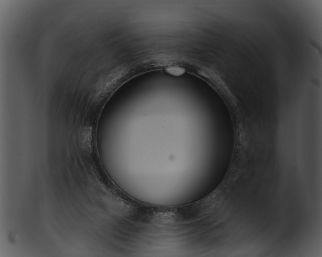 X0000101420066200807141204