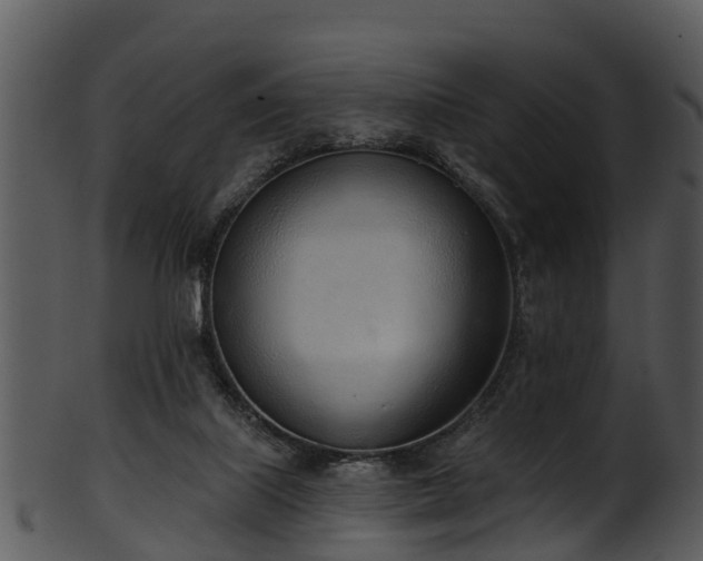 X0000101420067200807141204