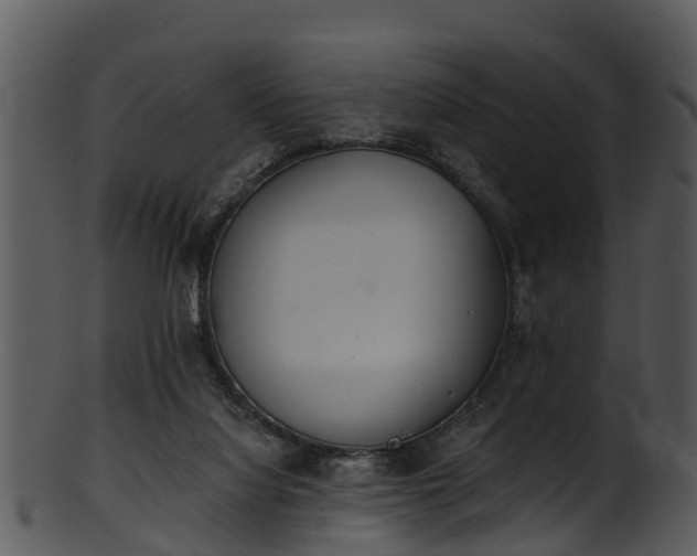 X0000101420068200807141204