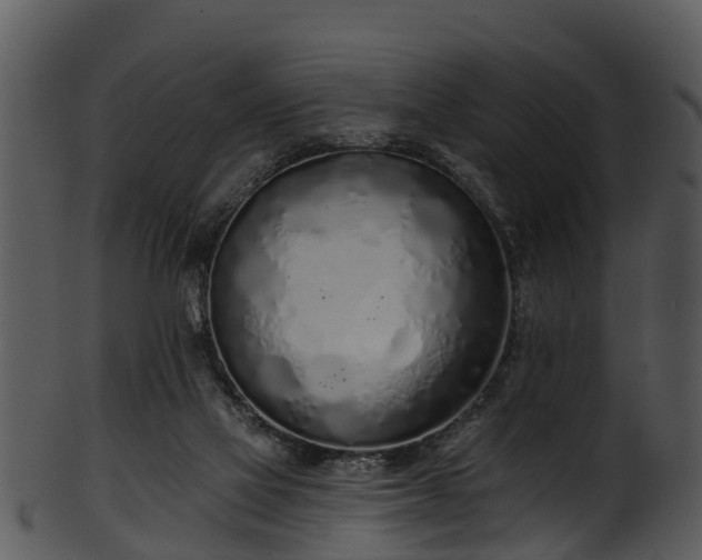 X0000101420069200807141204