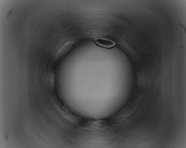 X0000101420072200807141204