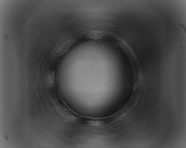 X0000101420073200807141204